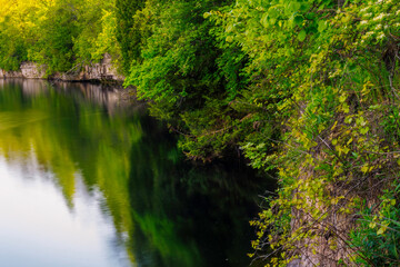 Autumn Forest Surrounding a Pond