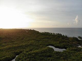 West Bay Cayman Islands view with greenery 