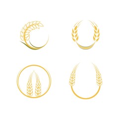 Agriculture wheat Logo Template vector icon design. Vector illustration