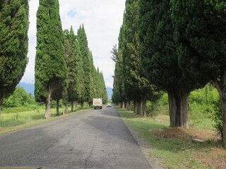 road in the park