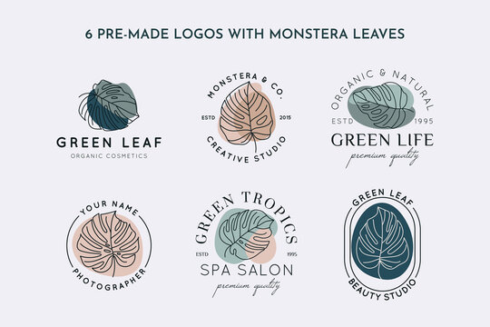 Collection of Monstera leaf logo design template in simple minimal linear style. Vector Exotic tropical emblem