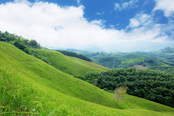 Obraz premium Viewpoint with beautiful.