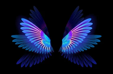 Fotobehang Glowing hummingbird wings © Nelli Valova
