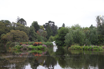 Beautiful Australian garden featuring purple Lythrum salicaria, jacarandas,daisies and english garden plants, featuring rusty wrought iron garden edging.