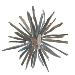 Driftwood wall decor.Abstract figure from driftwood Isolated on a white background. Minimalism style.Marine style interior .Summer home decor