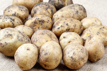 unwashed potatoes on a rough old cloth