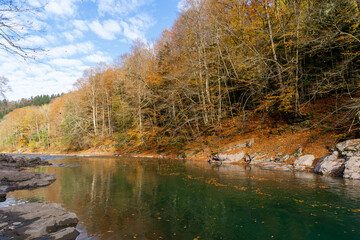 Clean mountain river in the autumn forest.