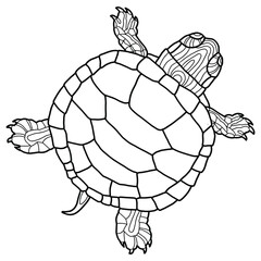 Vector illustration for coloring book. Realistic design pond slider or turtle. Marine inhabitants. Children's illustration. Pet turtle red-eared slider
