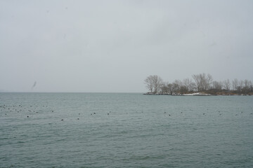 winter landscape with a lake and fog