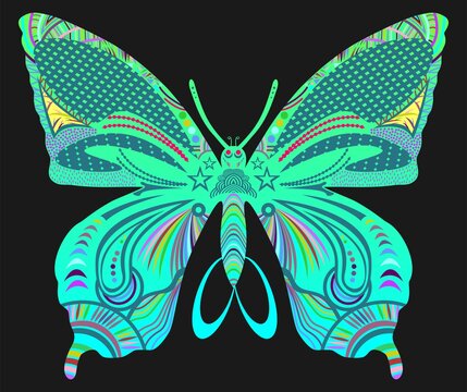 butterfly with black background, beautiful, colorful, bright.
suitable for decoration, collection, photos, etc.