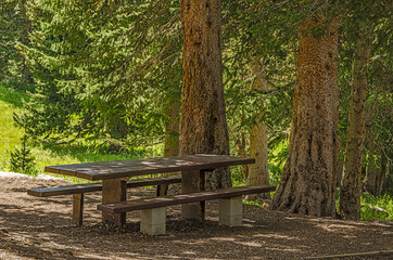 Naklejka premium Shady Spot for a Picnic Table