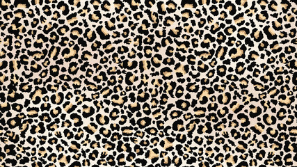 Leopard print. Seamless pattern. - 356032472