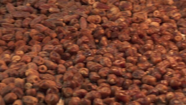 Panning LTR over many kinds of dates on display