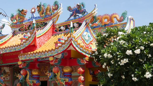 Traditional oriental taoist chinese monastery temple roof details, festive dragon decoration. Classic asian religious multicolor shrine or pagoda in bloom of plumeria frangipani flowers on sunny day.