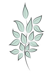 Flowers and leaves. Delicate floral pattern. Line drawing on a watercolor background. Line art, sketch, ink, freehand drawing, graphics. Vector illustration isolated on a white background.
