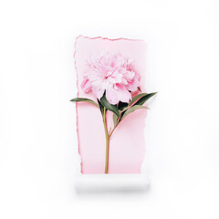 Beautiful pink peony in hole on paper background. Minimal flat lay, isolated on white
