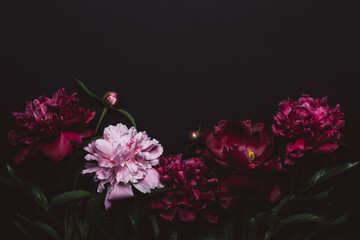 Black Floral background with beautiful dark peonies. Soft focus, copy space