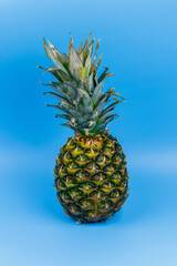 One whole pineapple on blue background