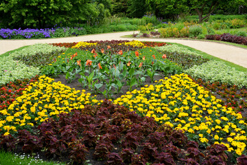 Botanischer Garten in Gütersloh im Juni, bunte Blumenwiese