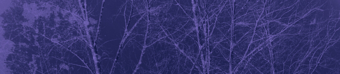 abstract black and violet colors background for design