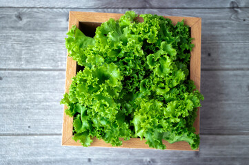 Green lettuce in a wooden box Set on a white-toned wooden table
