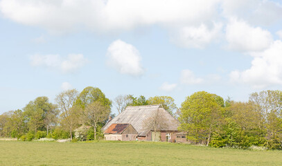 Farm in the north of the Netherlands