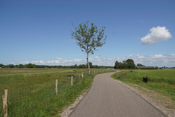 Obraz premium Pasture landscape. A small road along the meadows to the Dutch village of Bergen. North Holland, May 25.