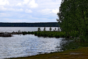 landscape with a lake and trees