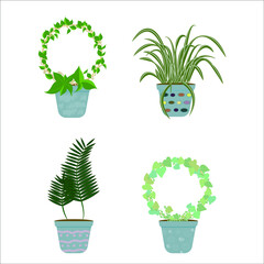 Set of indoor decorative plants in collectible pots. Vector flat cartoon illustration. Concept: decorations for the room, plants for the workplace, flowers in the winter garden, greenhouse.