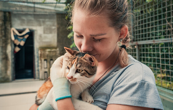 Close-up of female volunteer holds on hands cat in shelter. Shelter for animals concept