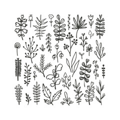 Set of hand drawn leaves, flowers, herbs and berries. Black and white floral elements. Natural illustration with simple plants for wallpaper, scrapbooking, wrapping paper