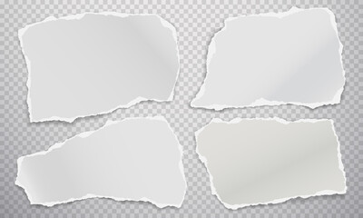 Torn of white note, notebook paper strips and pieces stuck on squared background. Vector illustration