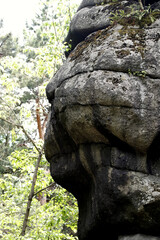 rock climber on the rock