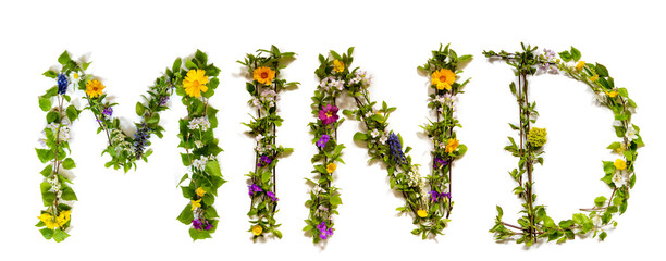 Flower, Branches And Blossom Letter Building English Word Mind. White Isolated Background