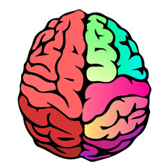 Colorful vector brain illustration. Mind concept