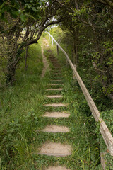 Obraz premium old staircase going up the hill 