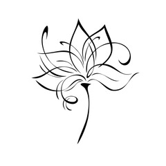 ornament 1206. one stylized flower with large petals on a short stalk in black lines on a white background