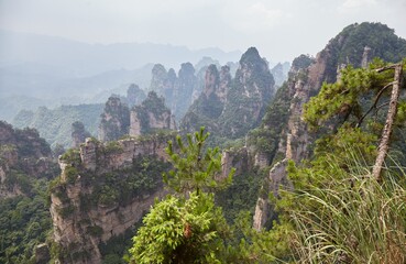 The Sandstone Pillars of Zhangjiajie National Forest Park