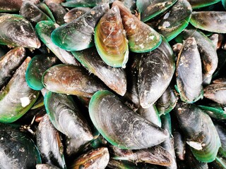 Photo of mussels. Not cleaned. Barnacle perched on the shells.Seafood in Thailand. Local food.
