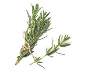 Fototapeta premium Świeży rozmaryn zielony na białym, widok z góry. Zioło aromatyczne.