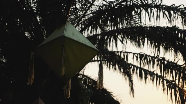 Palm tree at sunset, Vietnam Asia 4K