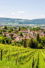 Arlesheim, Arlesheimer Dom, Dom, Domkirche, Weinberg,  Dorfplatz, Dorf, Domkirche, Wanderweg,...