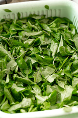 A basket of wolfberry leaves and green leafy vegetables being washed