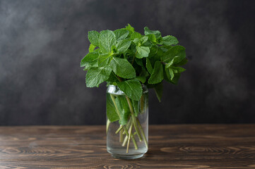 sprigs of fresh large green mint