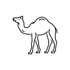 Black line icon for camel
