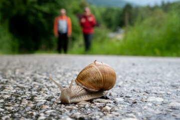 Wanderung zur Rinnenden Mauer in Molln