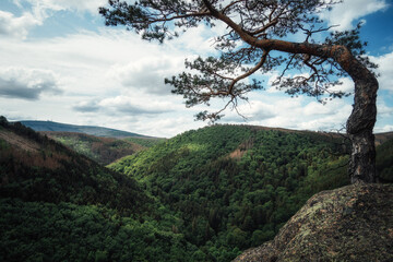 Ausblick auf das Ilsetal vom Ilsestein