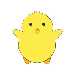 a little chick isolated on white background