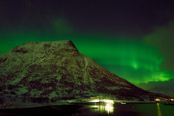 Northern Lights over Hammerstad Camping near Svolvaer in the Lofoten Islands