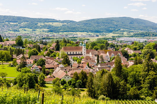 Arlesheim, Arlesheimer Dom, Dom, Domkirche, Weinberg,  Dorfplatz, Dorf, Domkirche, Wanderweg, Landwirtschaft, Ermitage,  Birstal, Baselland, Sommer, Schweiz